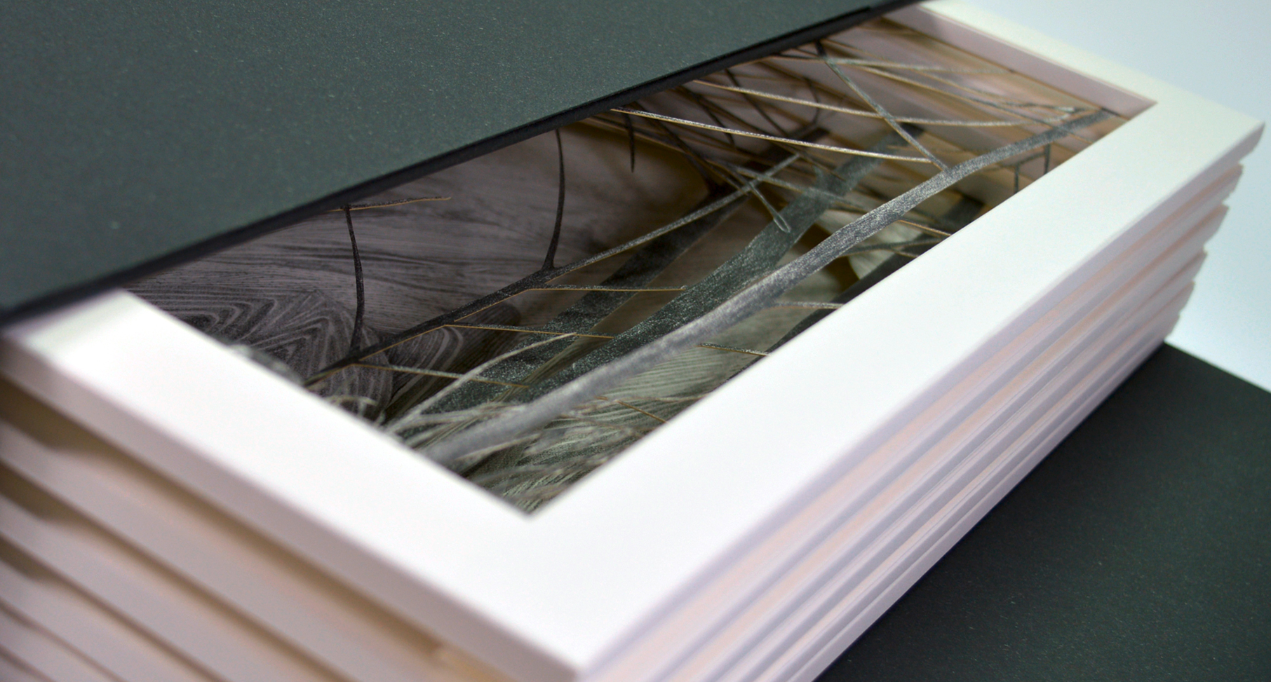 etudes graphiques livre artiste